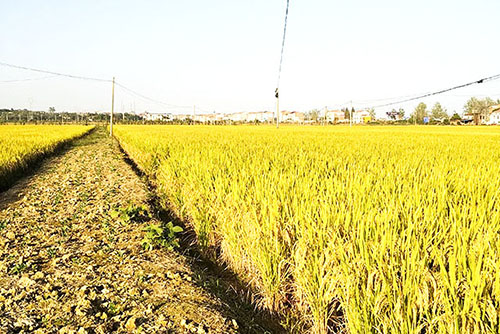 基地實拍