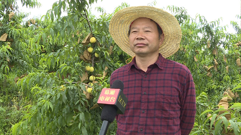 聶市鎮涓湖：從美麗鄉村(cūn)走向美麗生(shēng)活